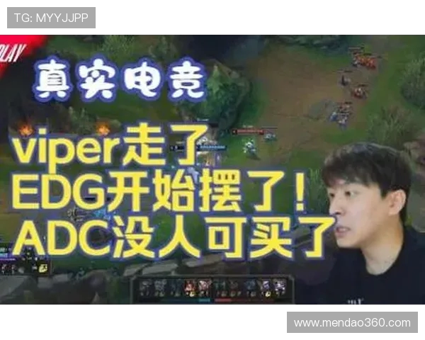 ViperADC的崛起与发展：电竞职业生涯背后的坚持与创新