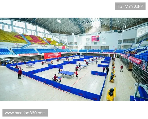 乒乓球运动的魅力与发展探索全民健身时代的竞技与文化融合