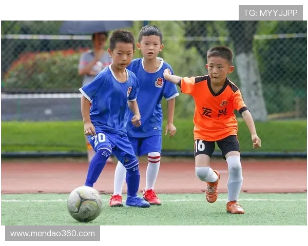 株洲足球队崭新篇章开启 力争打造本土足球新辉煌