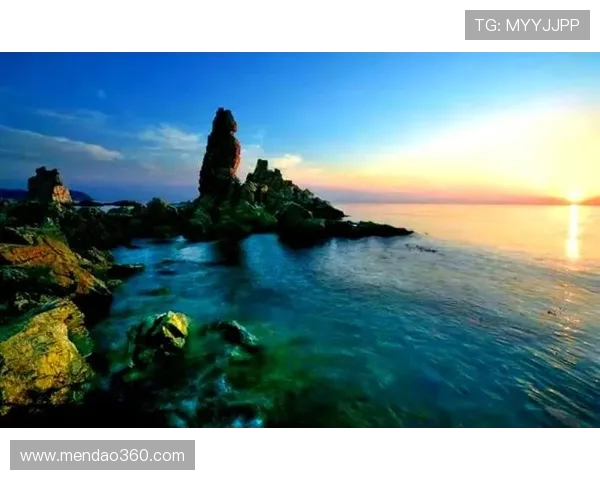 探索跳水运动技巧魅力与世界冠军成长励志历程深度解析全景展现录