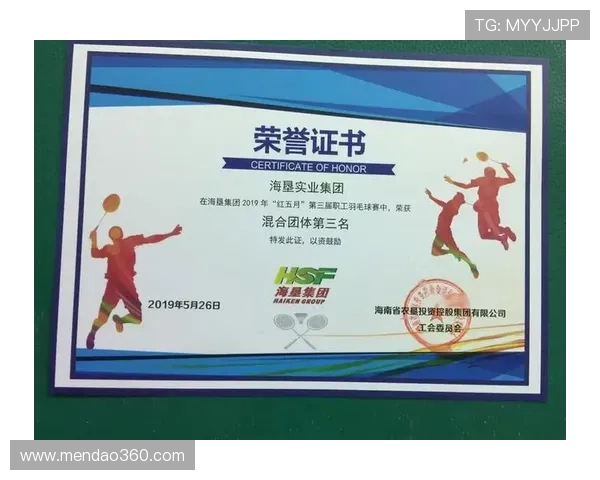 深圳羽毛球队配合表现数据分析揭示团队协作与胜率的关系