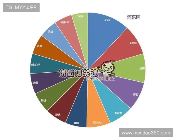 独家分析：西安排球队速度对比及其战术影响探讨