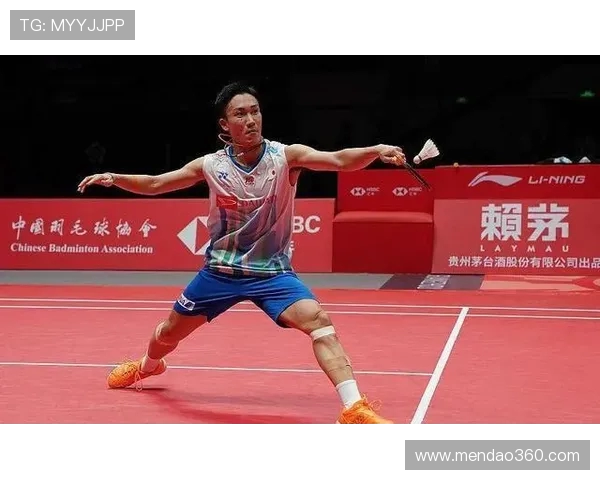 西安羽毛球队防守分析与战术调整的得失经验探讨